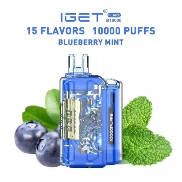Iget Flare B10000 – Blueberry Mint - Vape Shop in Andheri