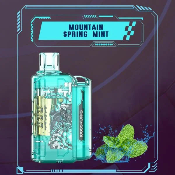 Iget Flare B10000 – Mountain Spring Mint - Vape Store Mumbai